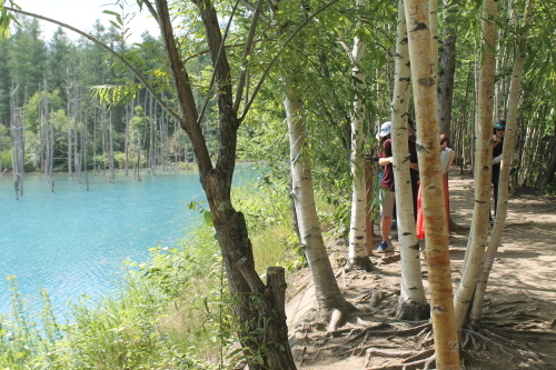b0363906_23375564.jpg