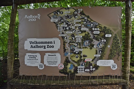 a0151913_554431.jpg