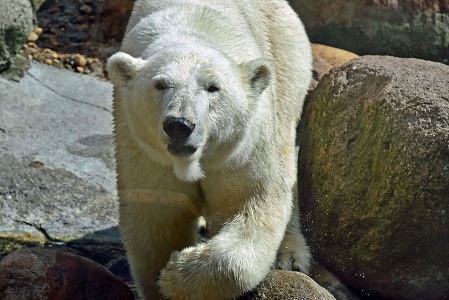 a0151913_655764.jpg