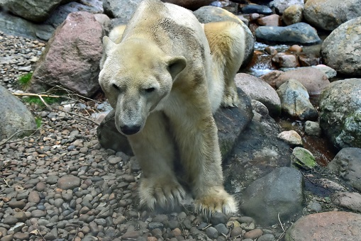 a0151913_9253345.jpg