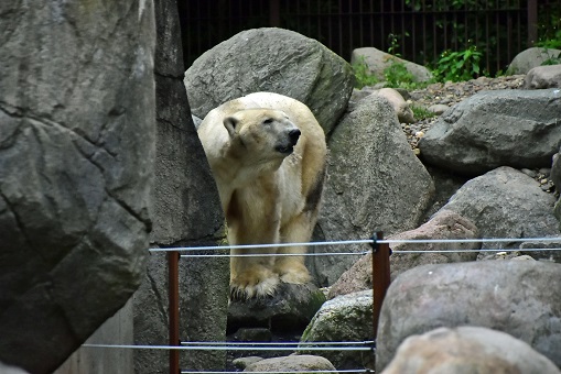 a0151913_9265983.jpg