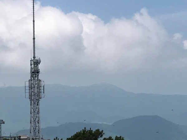 c0238519_17125207.jpg
