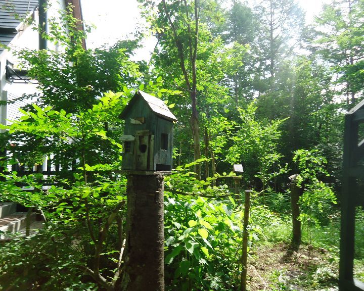 b0248920_06504194.jpg
