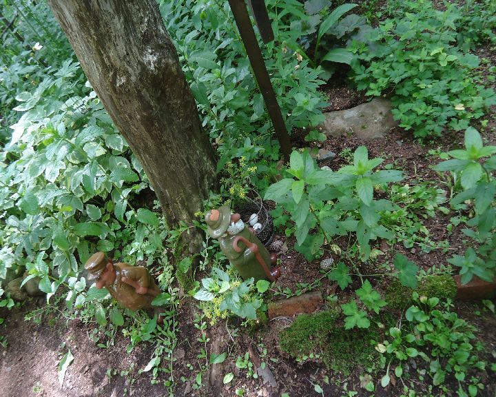 b0248920_06555766.jpg