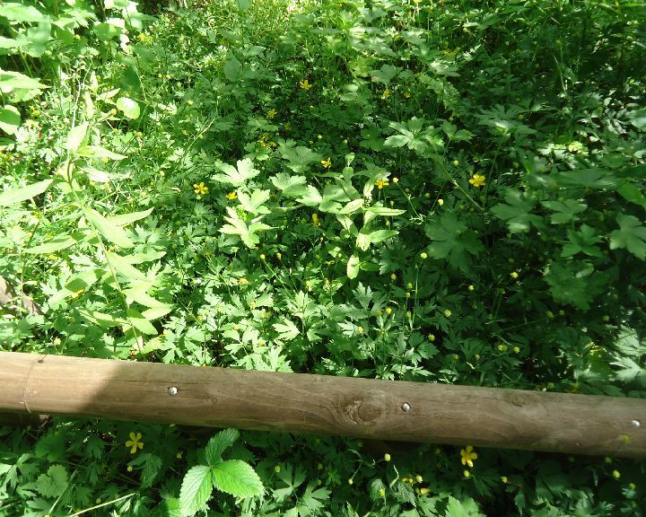b0248920_07051669.jpg