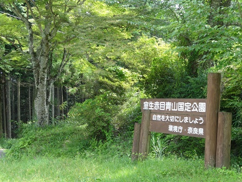 f0000521_19351937.jpg