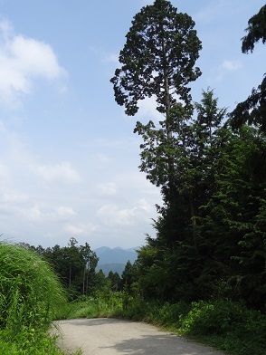 f0000521_19514075.jpg