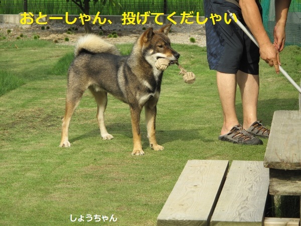 f0143123_10302156.jpg