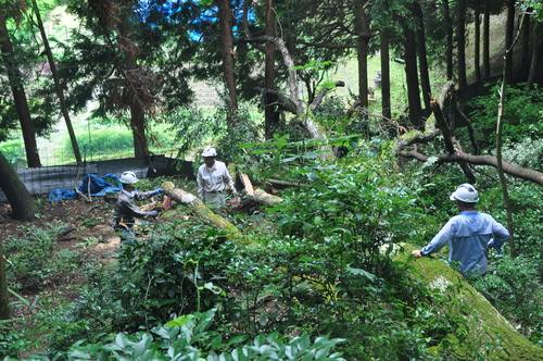 d0053832_1833343.jpg