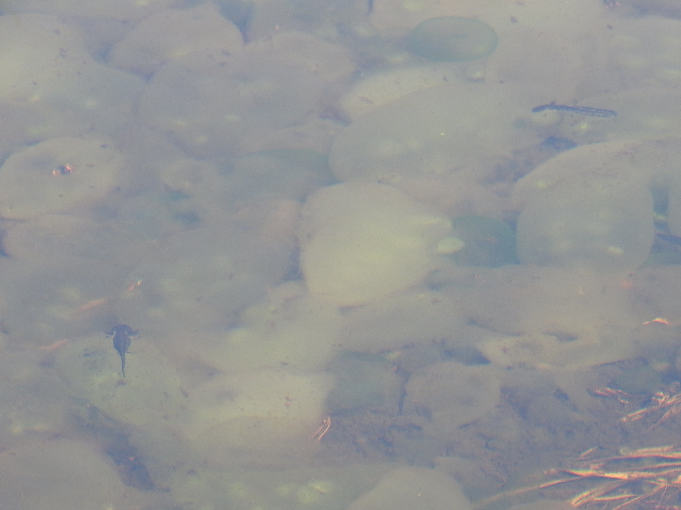 f0118332_18312273.jpg
