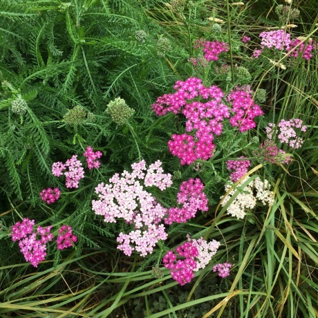 c0245349_07140620.jpg
