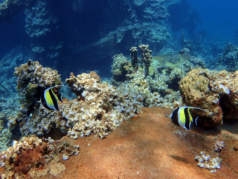 d0012449_21421171.jpg