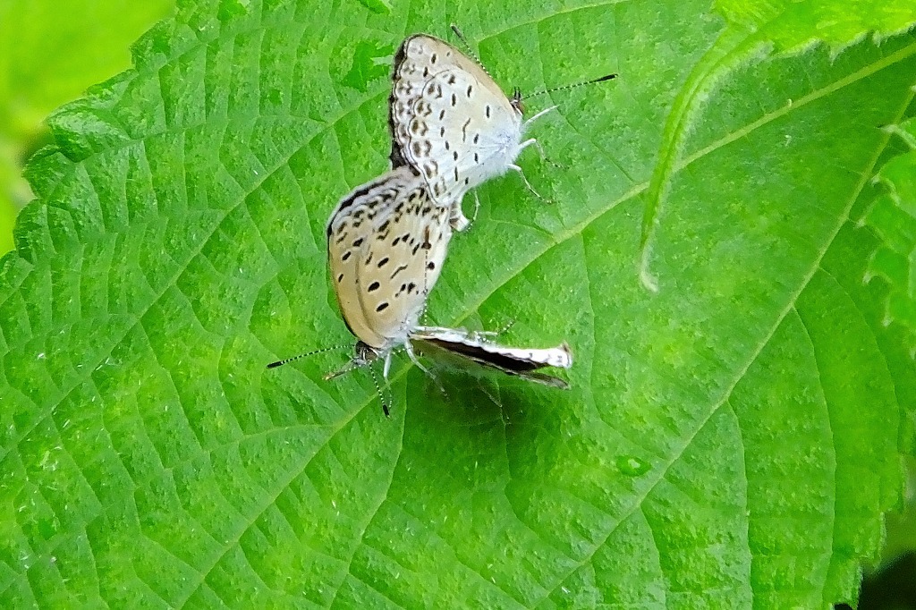 b0236251_11443662.jpg