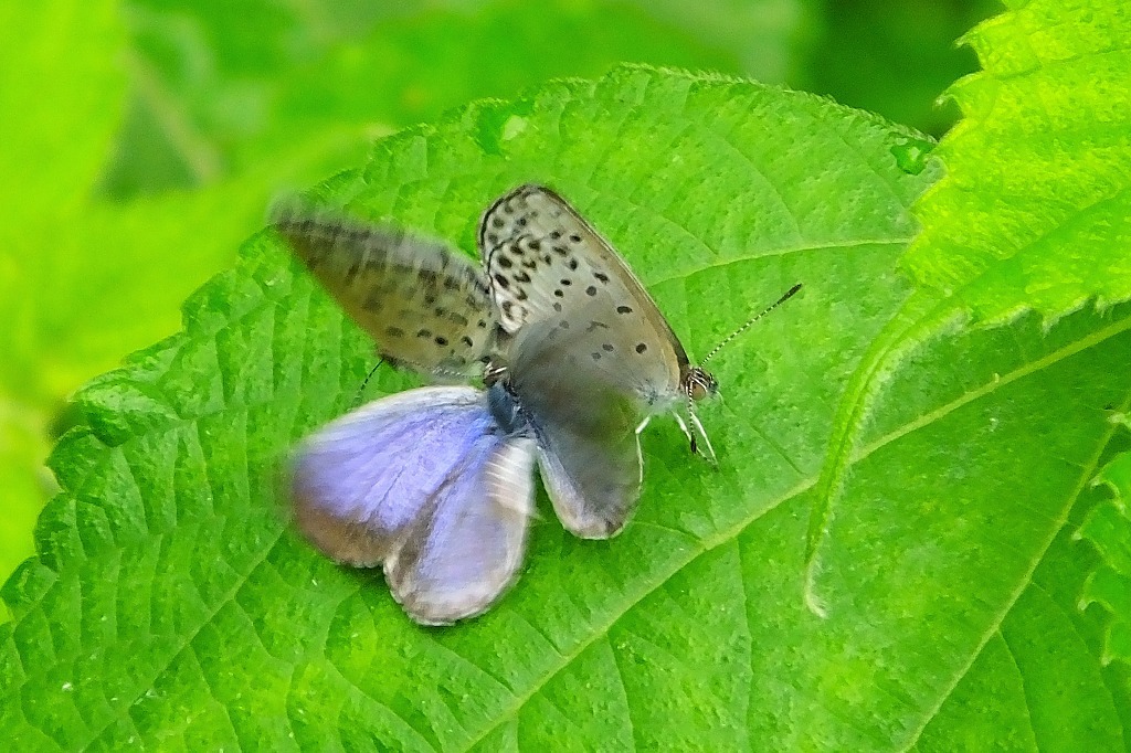b0236251_11464581.jpg