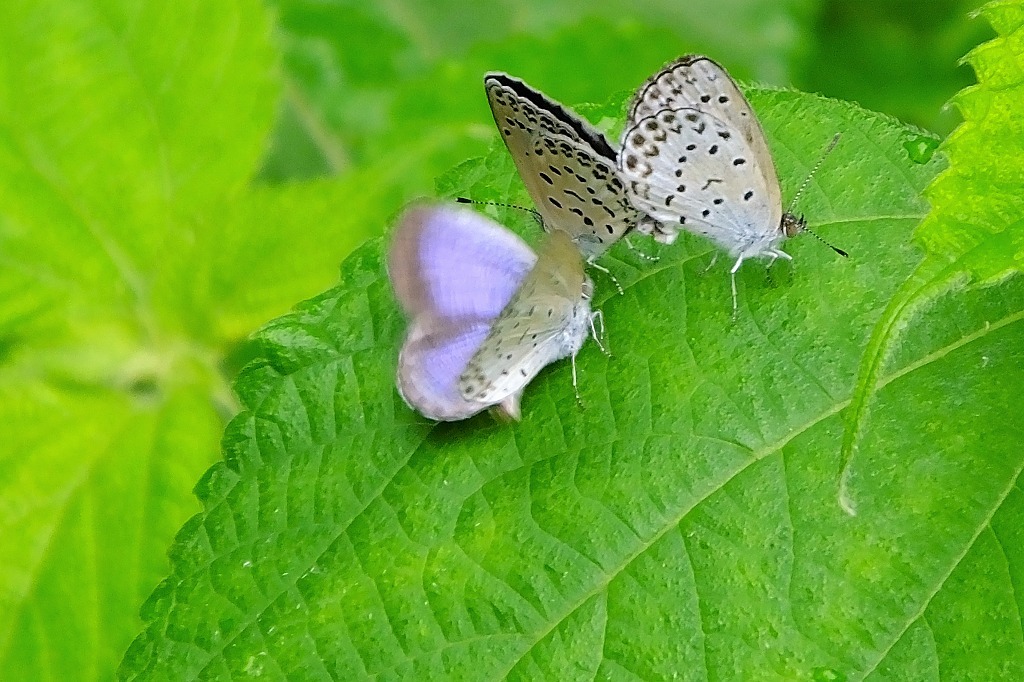 b0236251_11464806.jpg