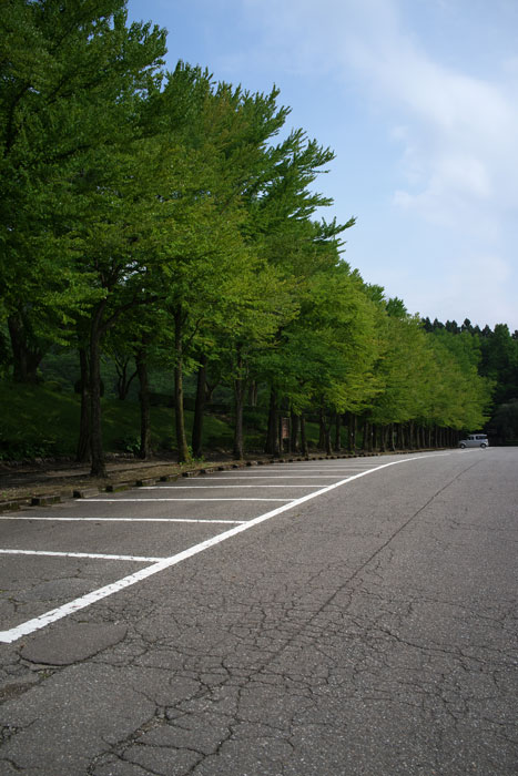 d0342652_10371686.jpg