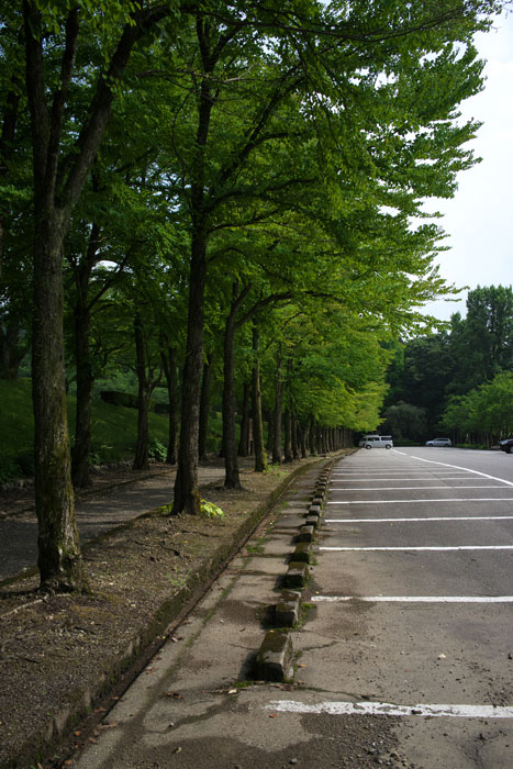 d0342652_10375889.jpg