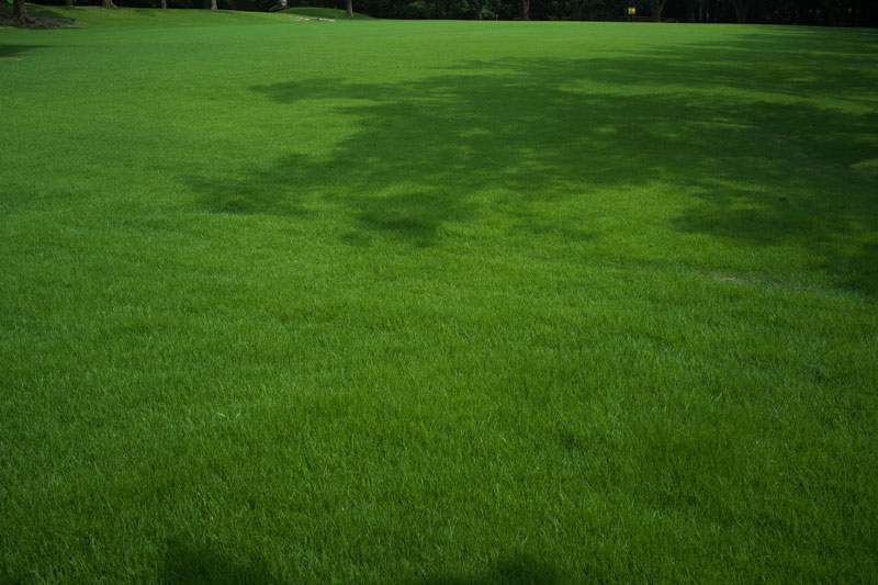 d0342652_10394843.jpg