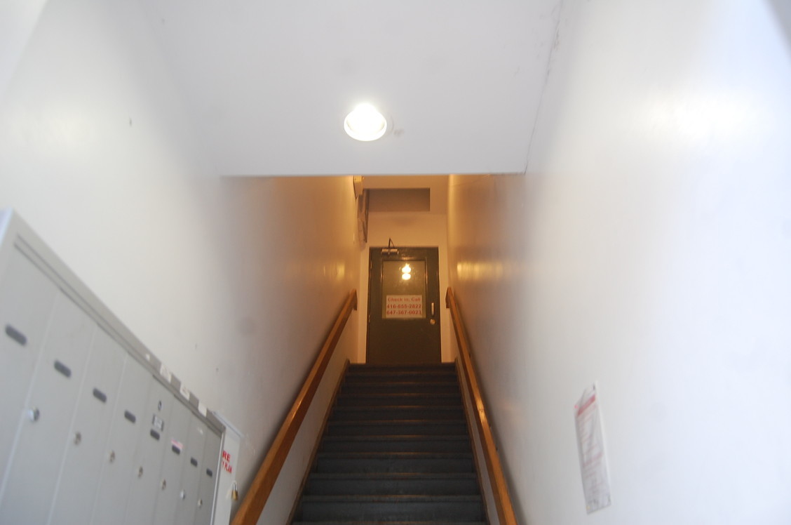 e0030353_11290340.jpg