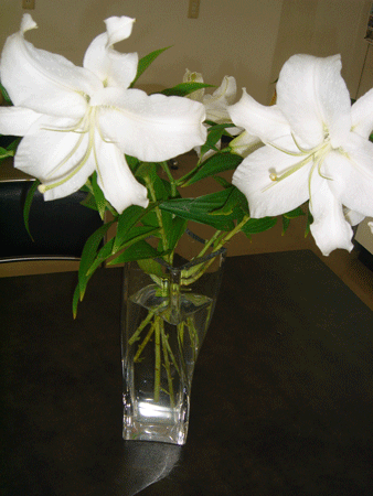 e0001558_11364613.gif