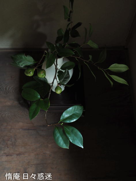 e0346064_16414359.gif
