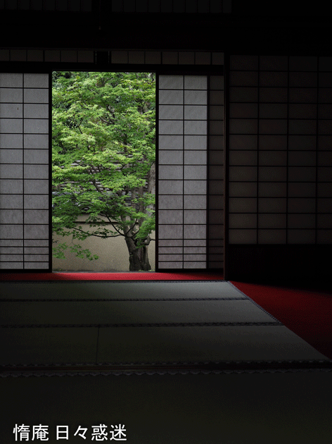e0346064_16414571.gif