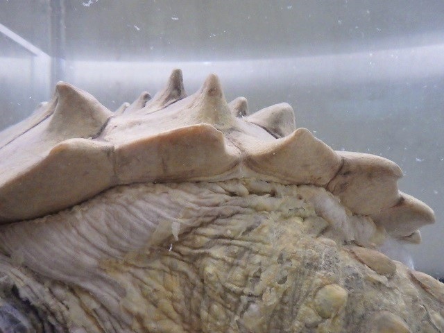 c0105569_01274754.jpg