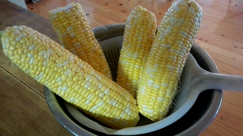 e0352681_11032075.jpg