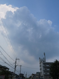 e0130185_19375622.jpg