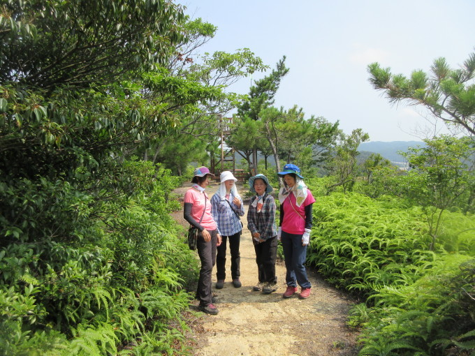 f0053885_20354285.jpg