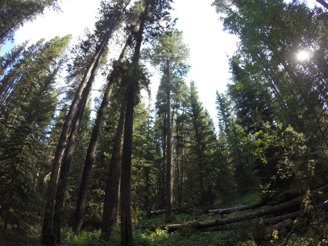f0275885_16134869.jpg