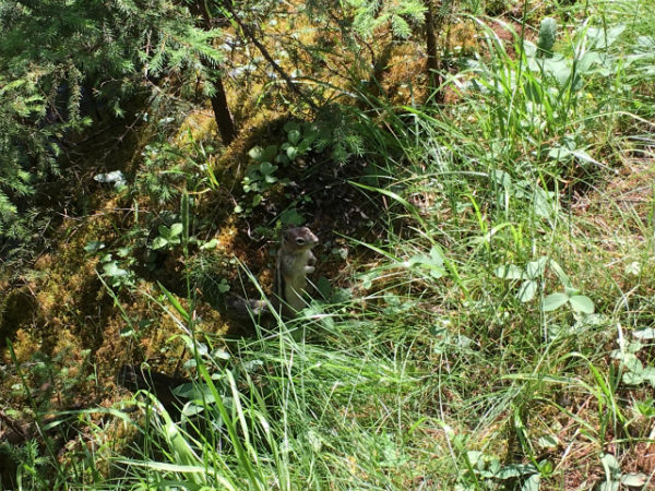 f0275885_16134932.jpg