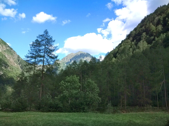 e0209989_18561414.jpg