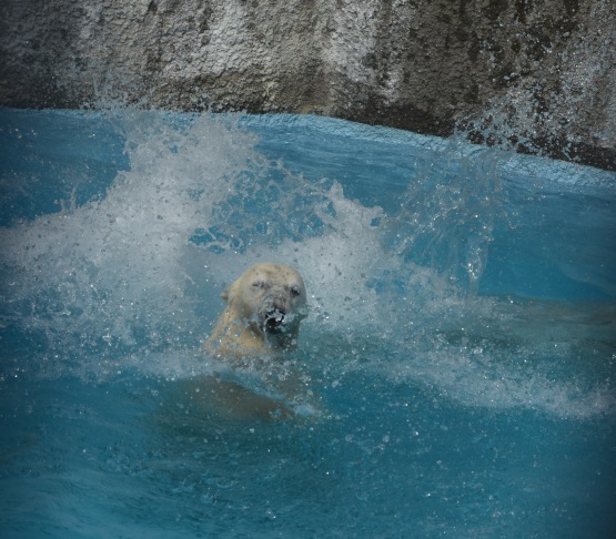 d0090801_09152599.jpg