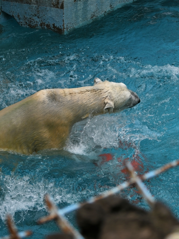 a0164204_13362813.jpg