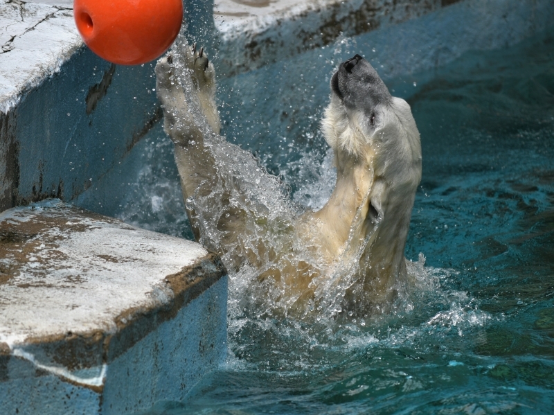 a0164204_13443360.jpg
