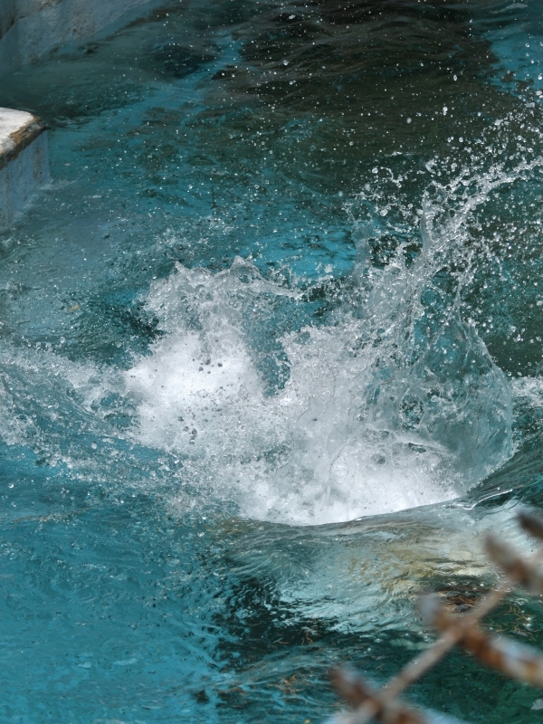 a0164204_13472107.jpg