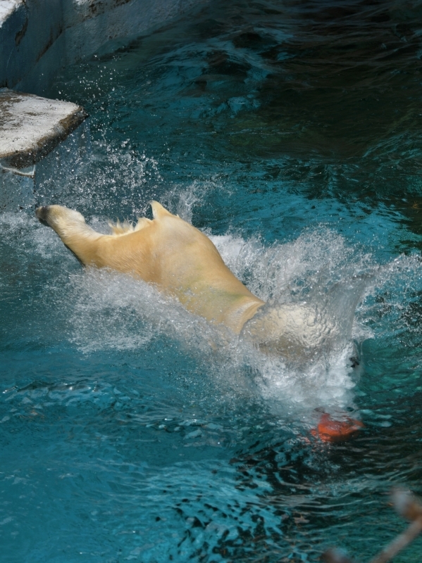 a0164204_13472282.jpg