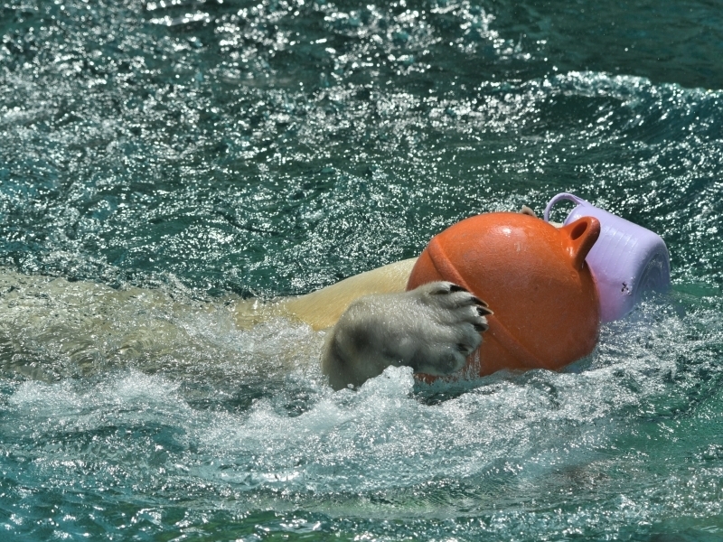 a0164204_14040408.jpg