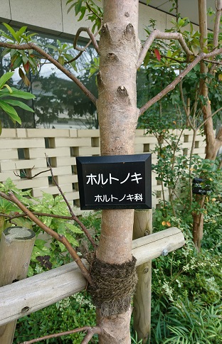 e0245404_17305541.jpg