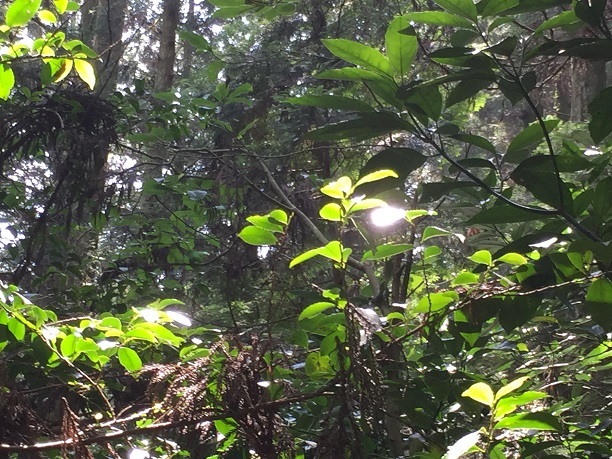 f0364707_21091755.jpg