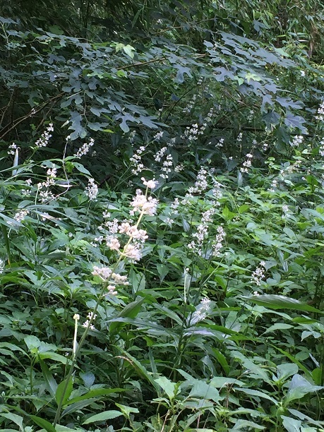 f0364707_21093573.jpg