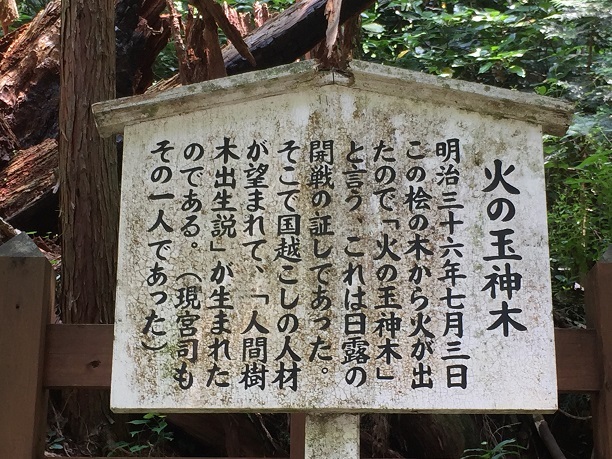 f0364707_21130235.jpg