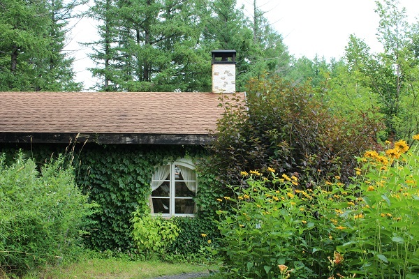 c0178009_23132666.jpg