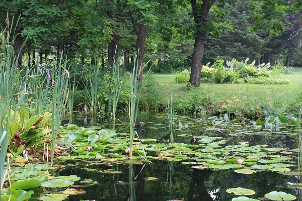 c0178009_23163926.jpg