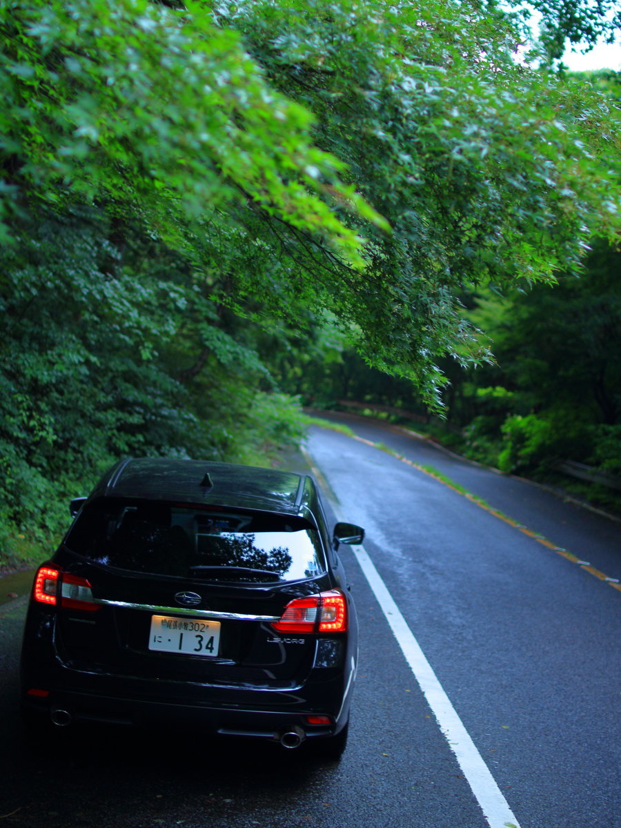 e0009009_21563781.jpg
