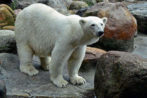 a0151913_614612.jpg