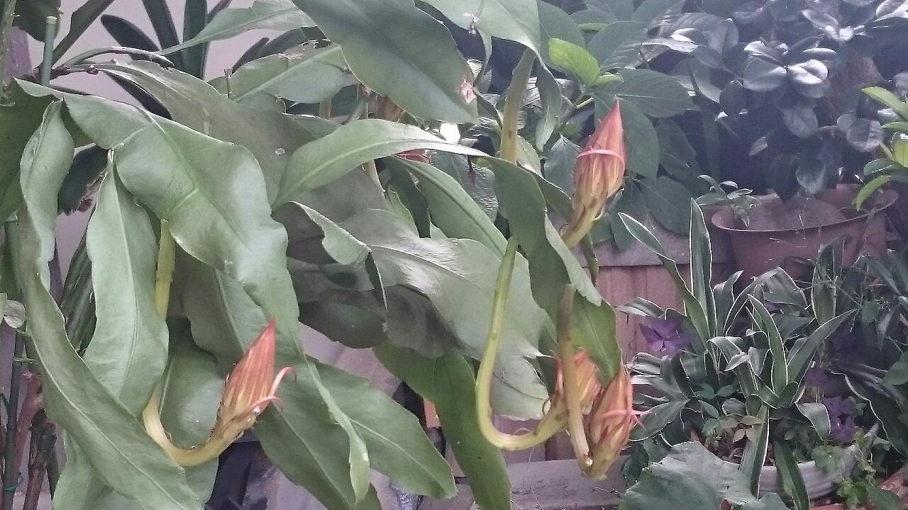 e0350415_07435560.jpg