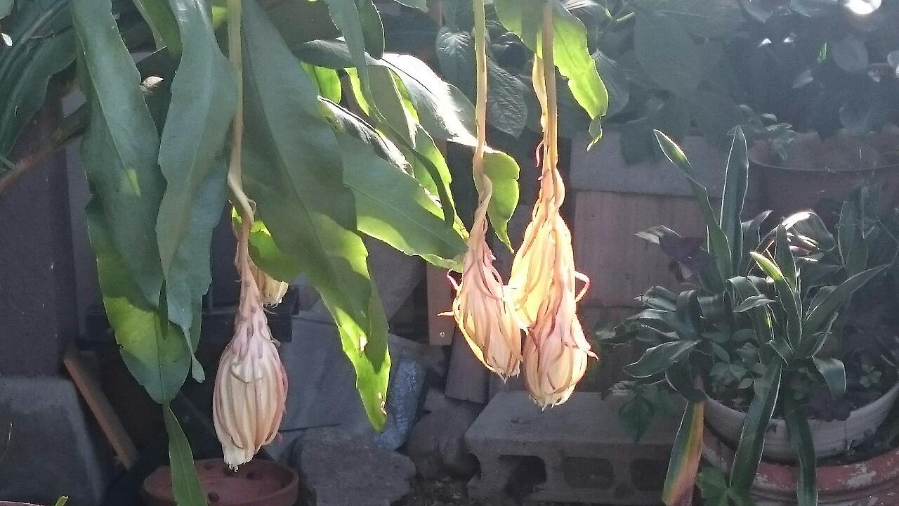 e0350415_09091012.jpg
