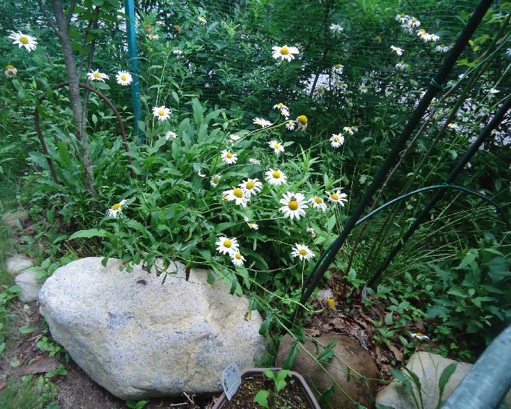 b0248920_00414863.jpg